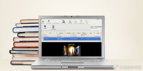 揭秘EPUB Mac电脑用户如何轻松打开与利用
